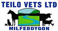 Teilo Vets logo image